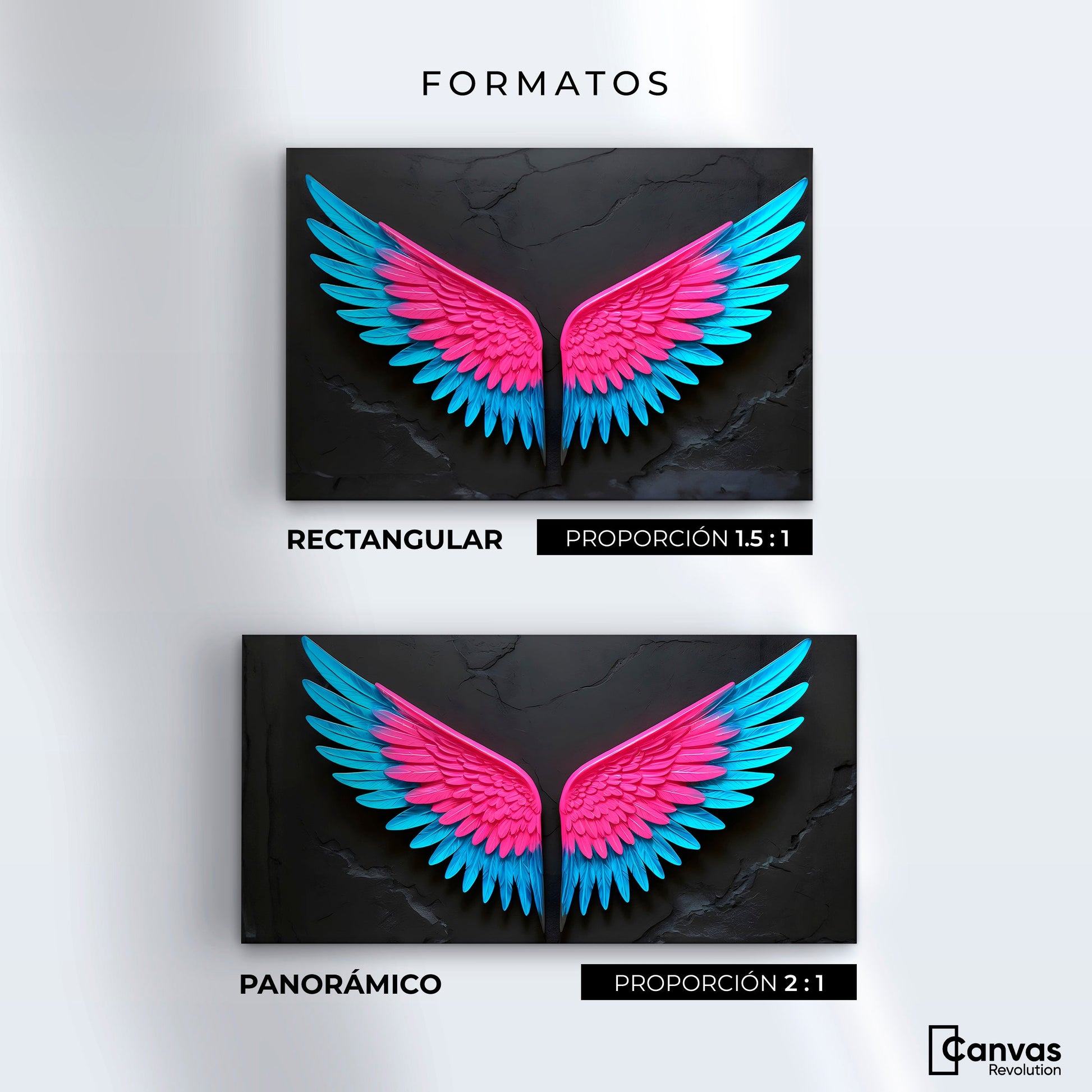 Cuadros Decorativos Canvas Revolution | Alas Vuelo De Luz | Formatos
