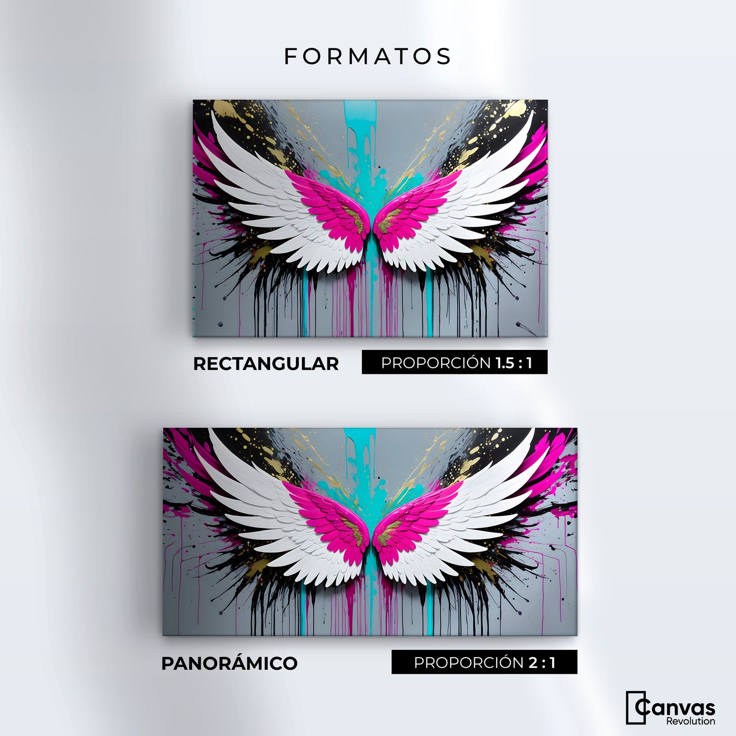 Cuadros Decorativos Canvas Revolution | Alas Vuelo Eterno | Formatos