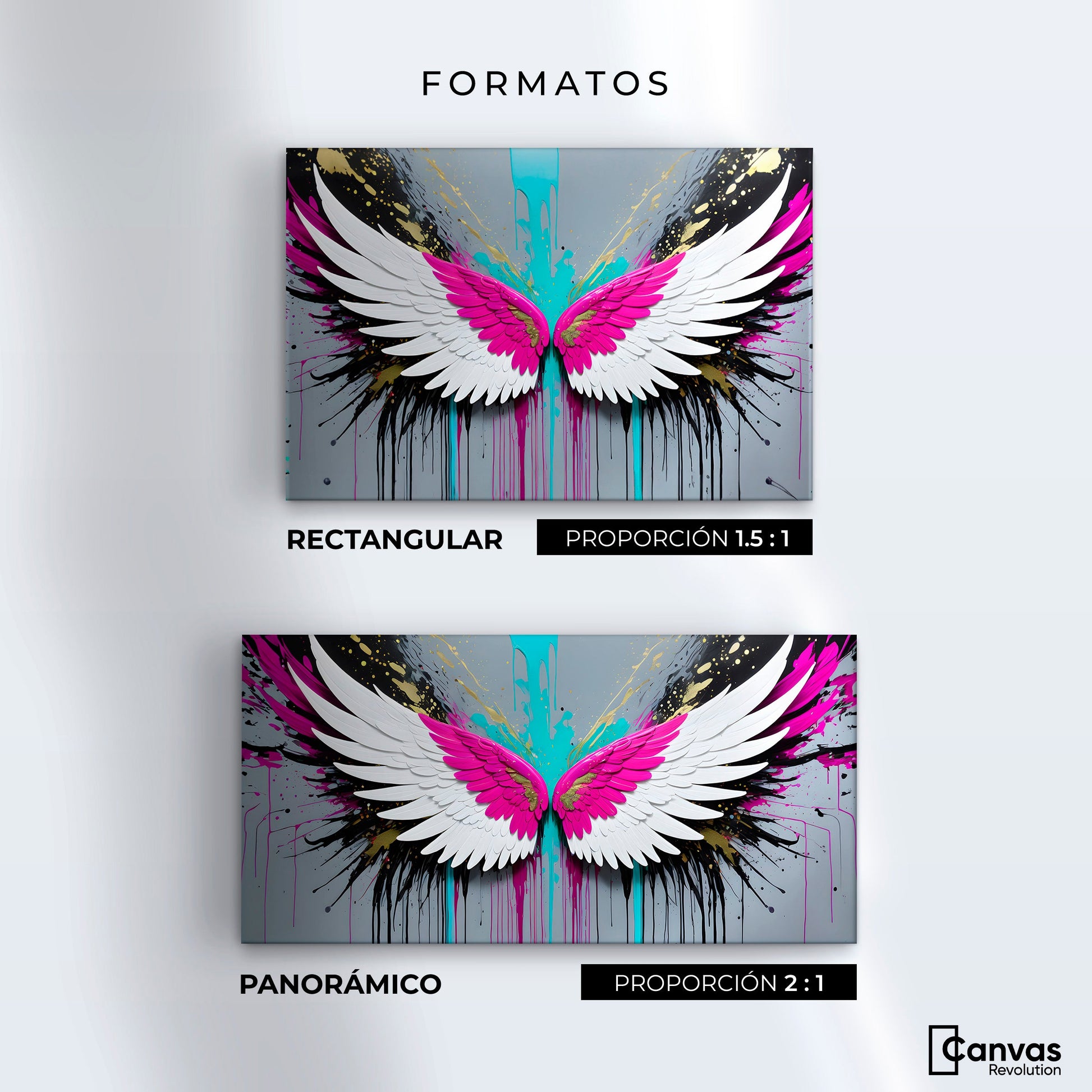 Cuadros Decorativos Canvas Revolution | Alas Vuelo Eterno | Formatos