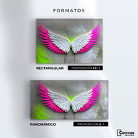 Cuadros Decorativos Canvas Revolution | Alas Vuelo Intenso | Formatos
