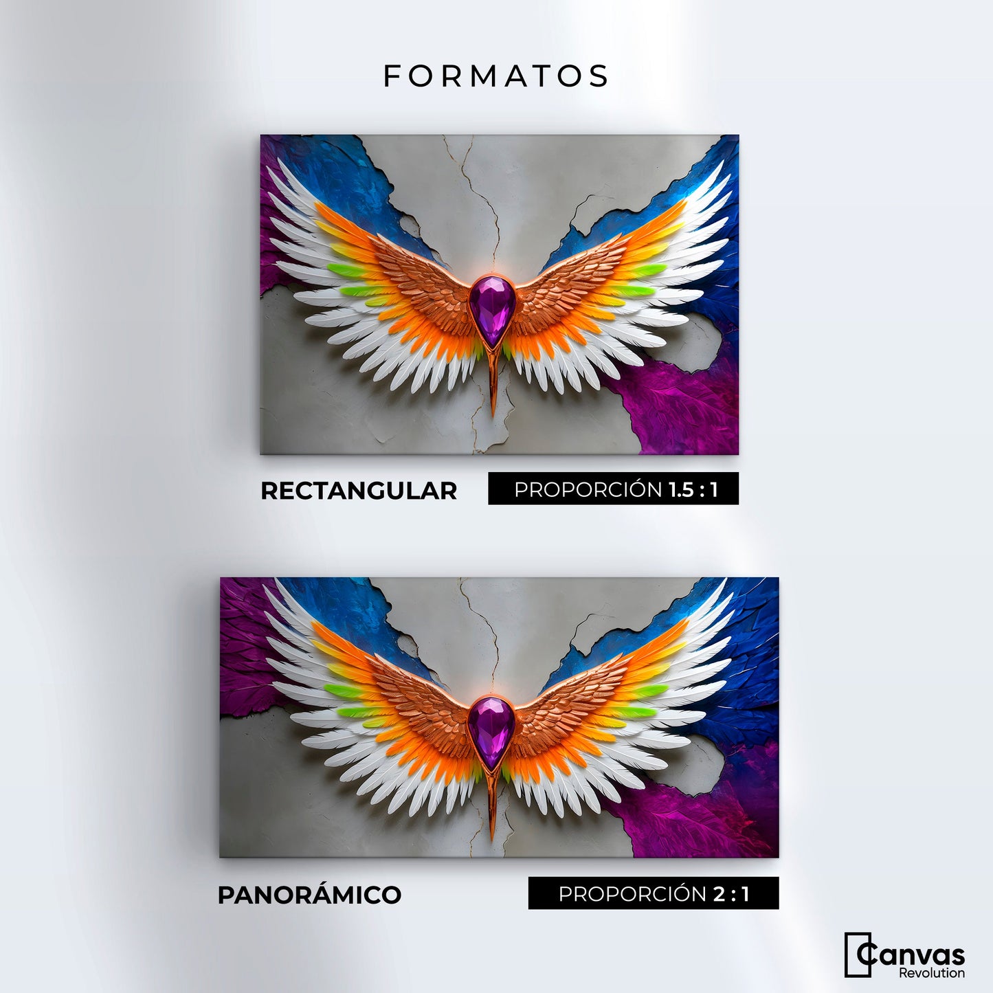 Cuadros Decorativos Canvas Revolution | Alas Vuelo Puro | Formatos