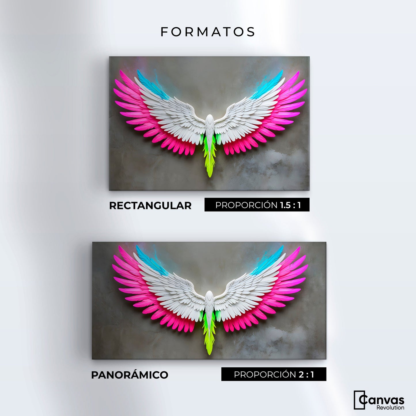 Cuadros Decorativos Canvas Revolution | Angel Alas De Luz | Formatos