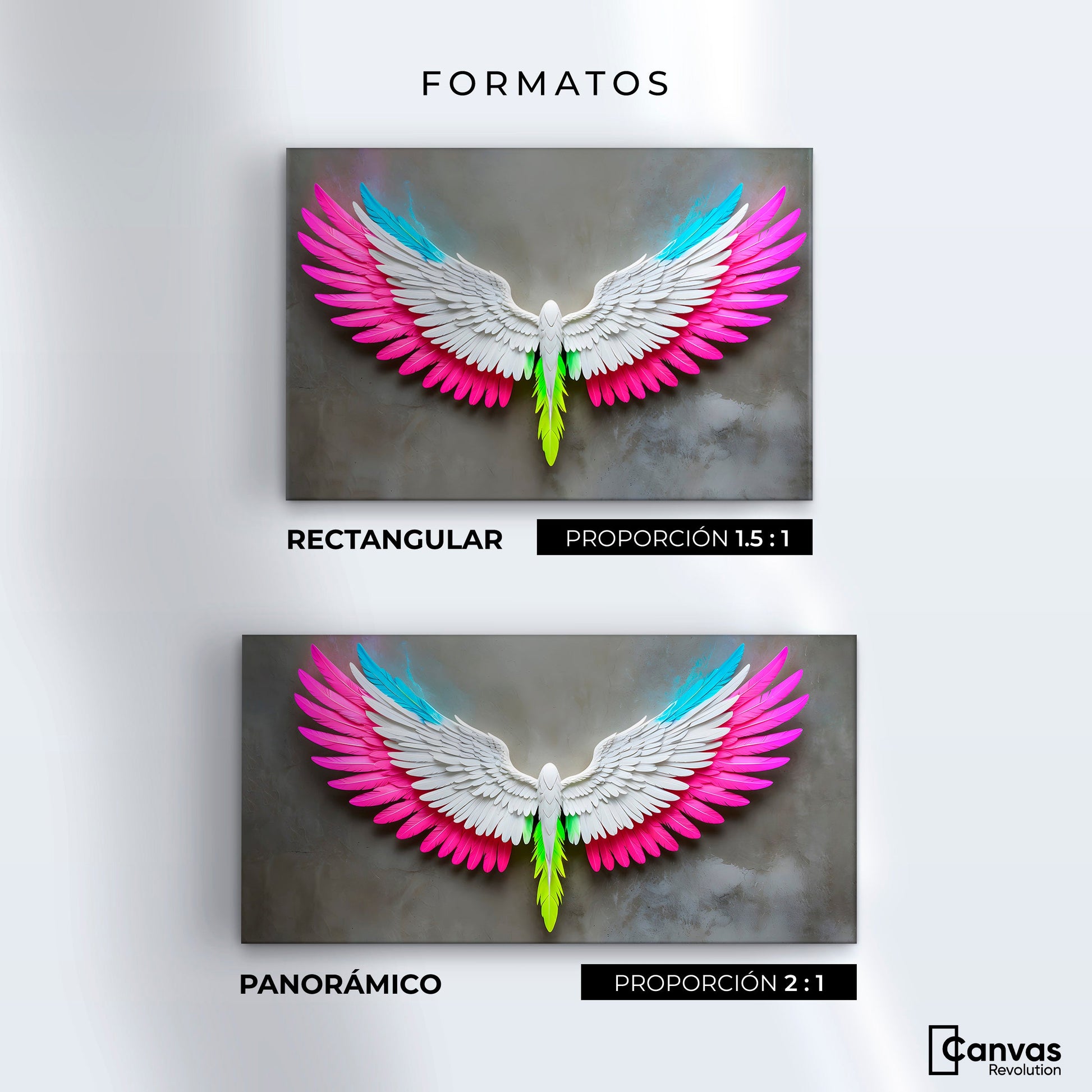 Cuadros Decorativos Canvas Revolution | Angel Alas De Luz | Formatos