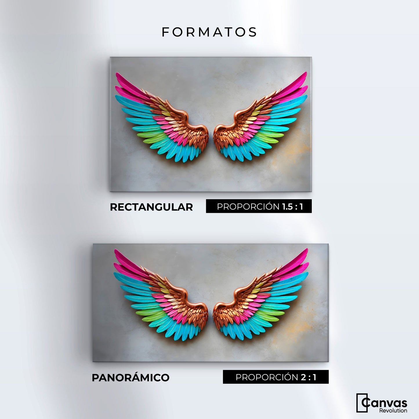 Cuadros Decorativos Canvas Revolution | Angel Resplandor | Formatos
