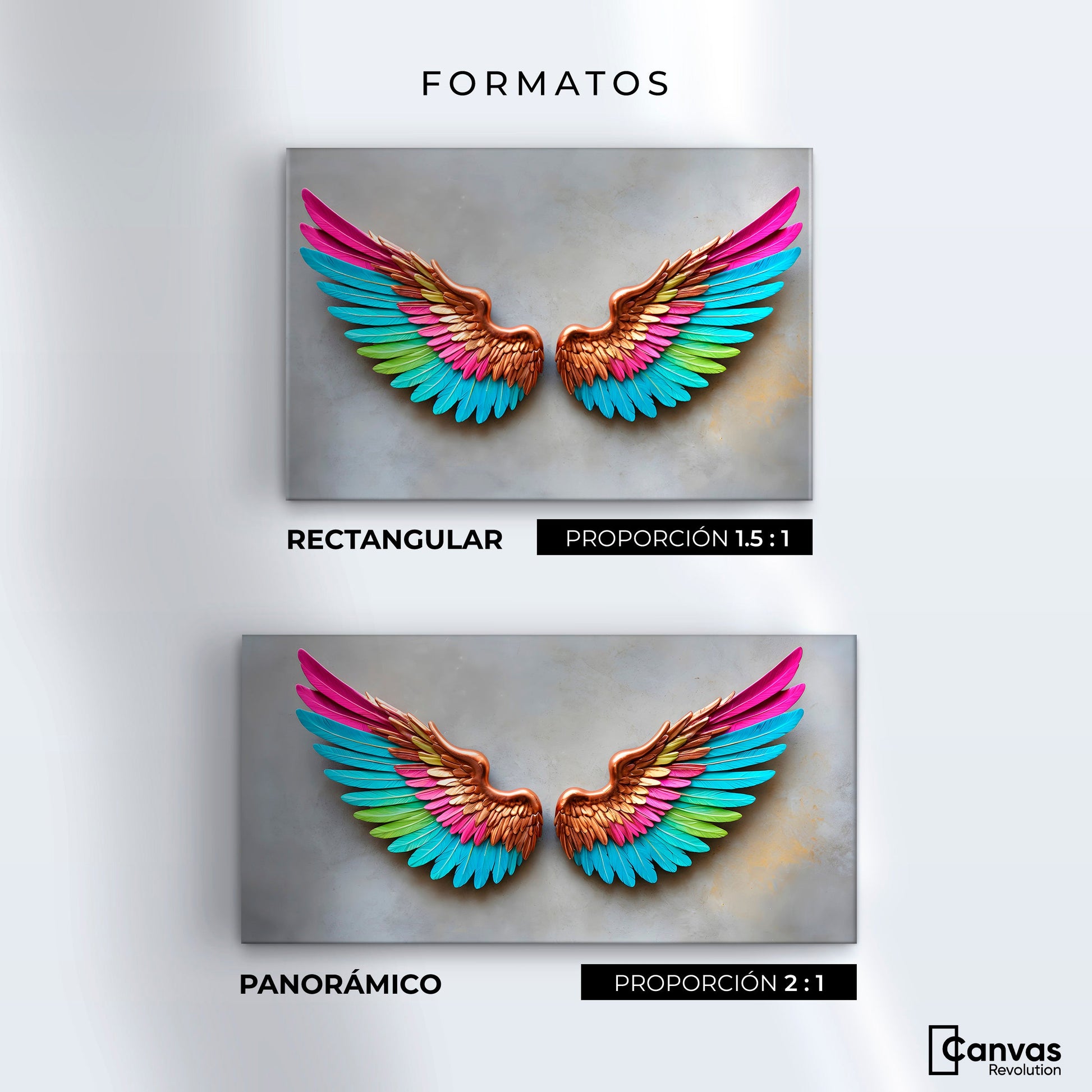 Cuadros Decorativos Canvas Revolution | Angel Resplandor | Formatos