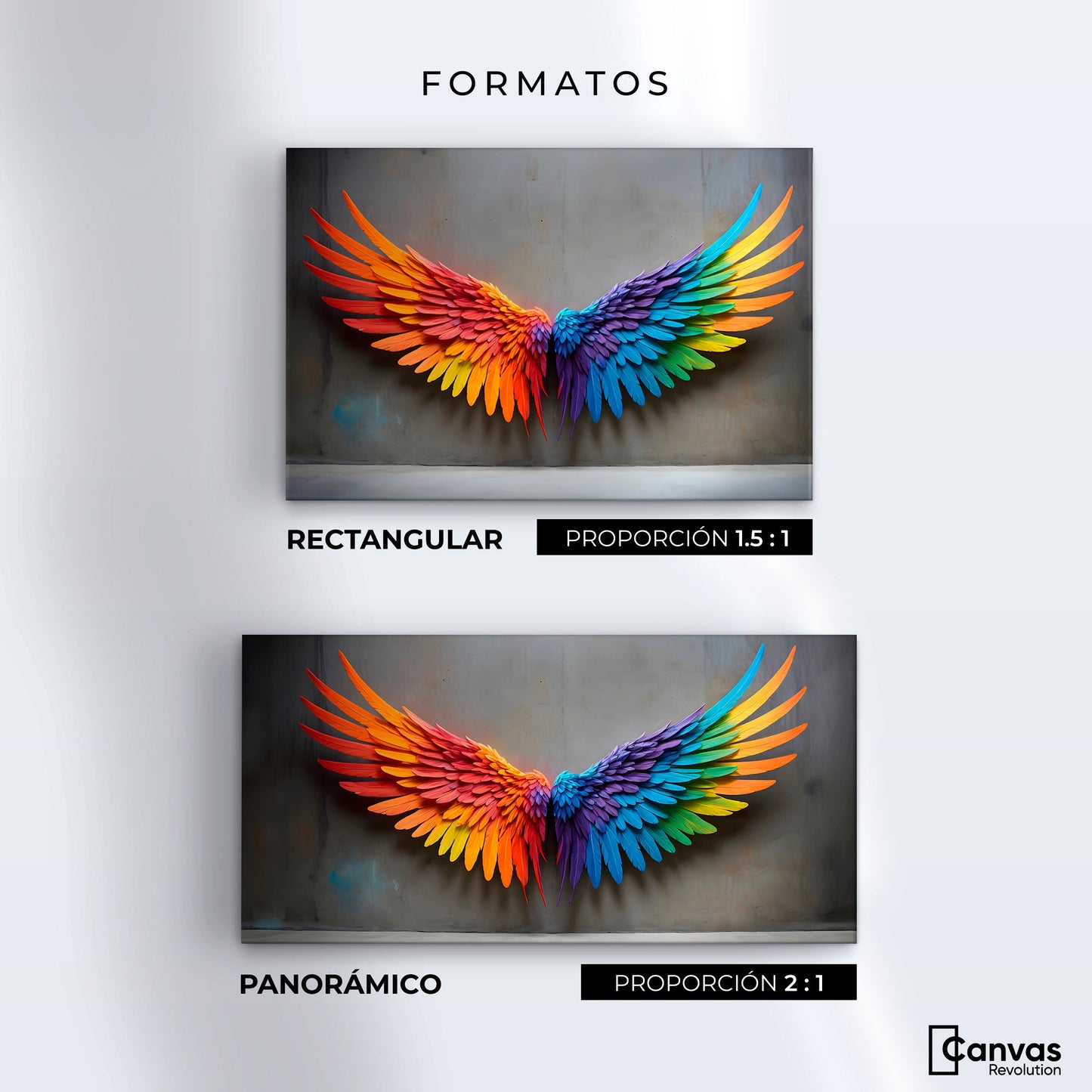 Cuadros Decorativos Canvas Revolution | Angel Vuelo Sutil | Formatos
