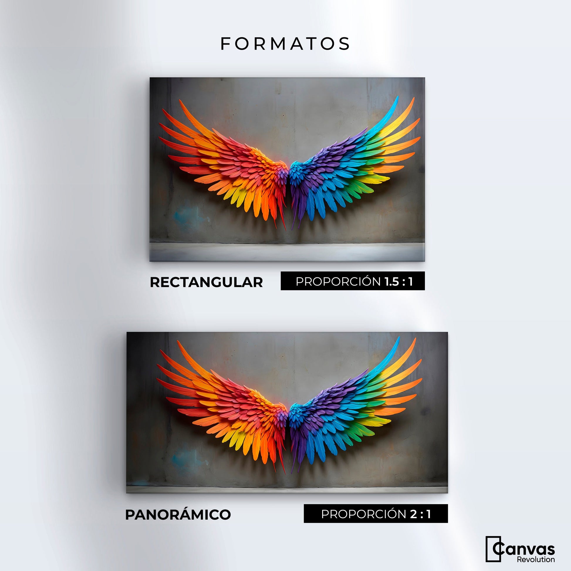 Cuadros Decorativos Canvas Revolution | Angel Vuelo Sutil | Formatos
