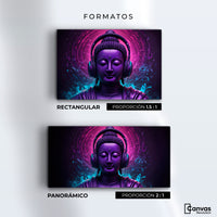 Cuadros Decorativos Canvas Revolution | Armonia Digital | Formatos