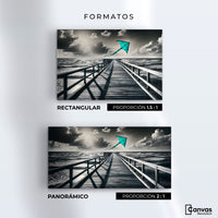 Cuadros Decorativos Canvas Revolution | Aventura En Viento | Formatos