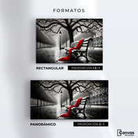 Cuadros Decorativos Canvas Revolution | Banca De Pasion | Formatos