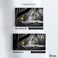 Cuadros Decorativos Canvas Revolution | Bosque Iluminado | Formatos