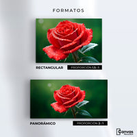 Cuadros Decorativos Canvas Revolution | Brillo Rosa Luz | Formatos