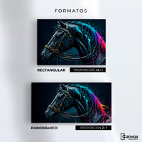 Cuadros Decorativos Canvas Revolution | Caballo Cosmico | Formatos