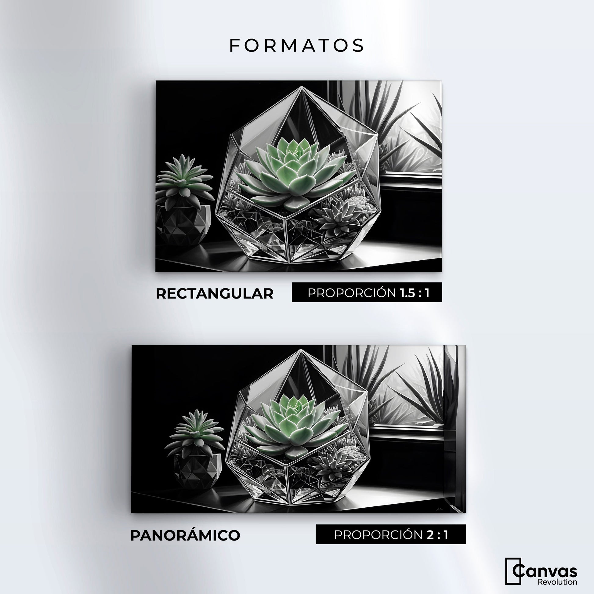 Cuadros Decorativos Canvas Revolution | Cactus Esmeralda | Formatos