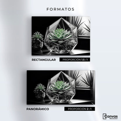 Cuadros Decorativos Canvas Revolution | Cactus Esmeralda | Formatos