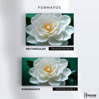 Cuadros Decorativos Canvas Revolution | Camelia Eterna Flor | Formatos