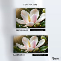 Cuadros Decorativos Canvas Revolution | Canto De Magnolia | Formatos