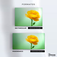 Cuadros Decorativos Canvas Revolution | Canto De Ranunculo | Formatos