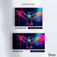 Cuadros Decorativos Canvas Revolution | Colibri Cromatico | Formatos