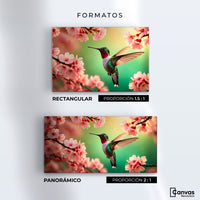 Cuadros Decorativos Canvas Revolution | Colibri Danza Flor | Formatos