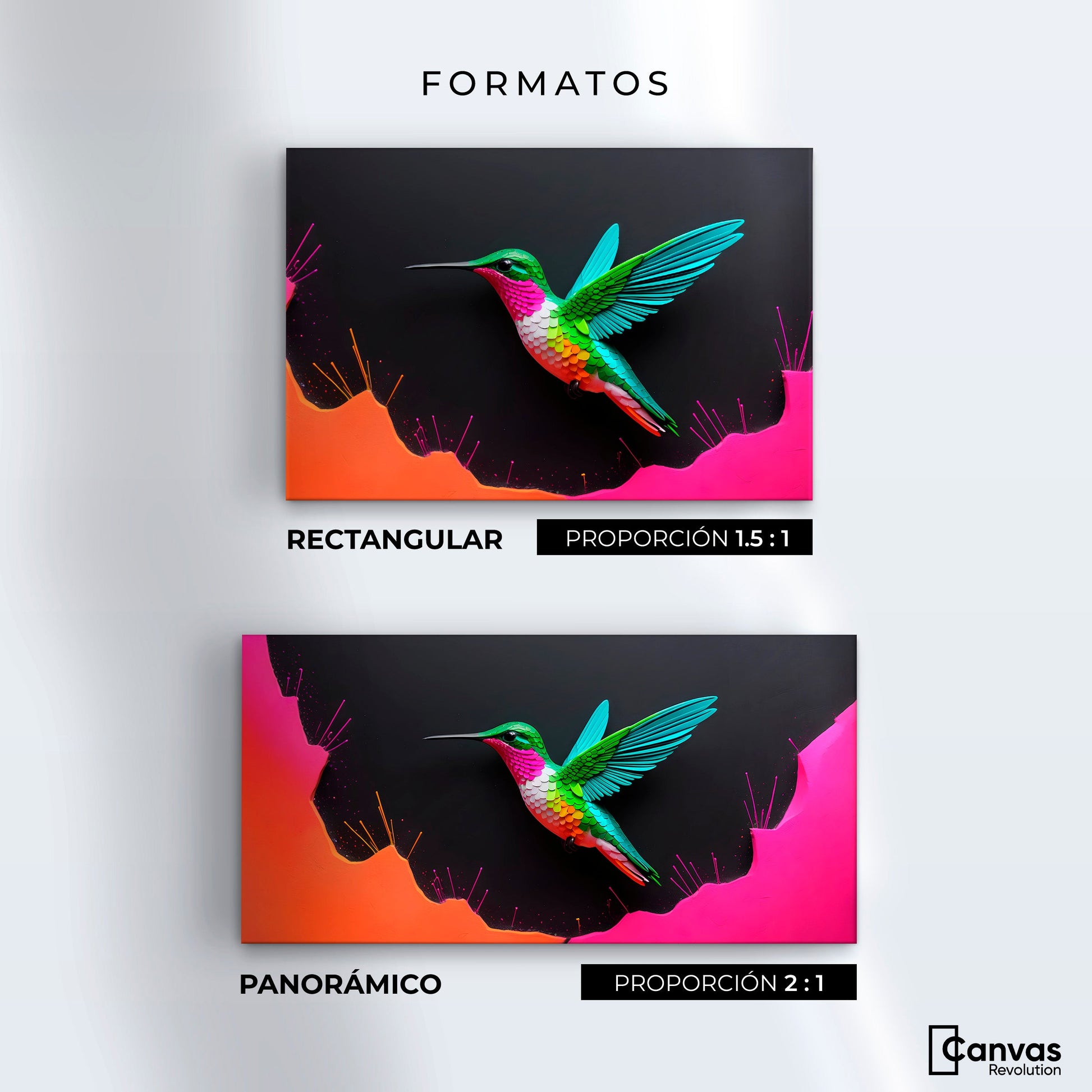 Cuadros Decorativos Canvas Revolution | Colibri En Colores | Formatos