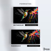 Cuadros Decorativos Canvas Revolution | Colibri Luminoso | Formatos
