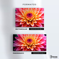 Cuadros Decorativos Canvas Revolution | Dahlia Vibrante | Formatos