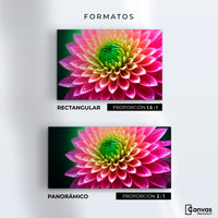Cuadros Decorativos Canvas Revolution | Dalia Brillo Vivo | Formatos