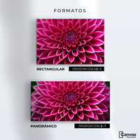 Cuadros Decorativos Canvas Revolution | Dalia Magenta Flor | Formatos