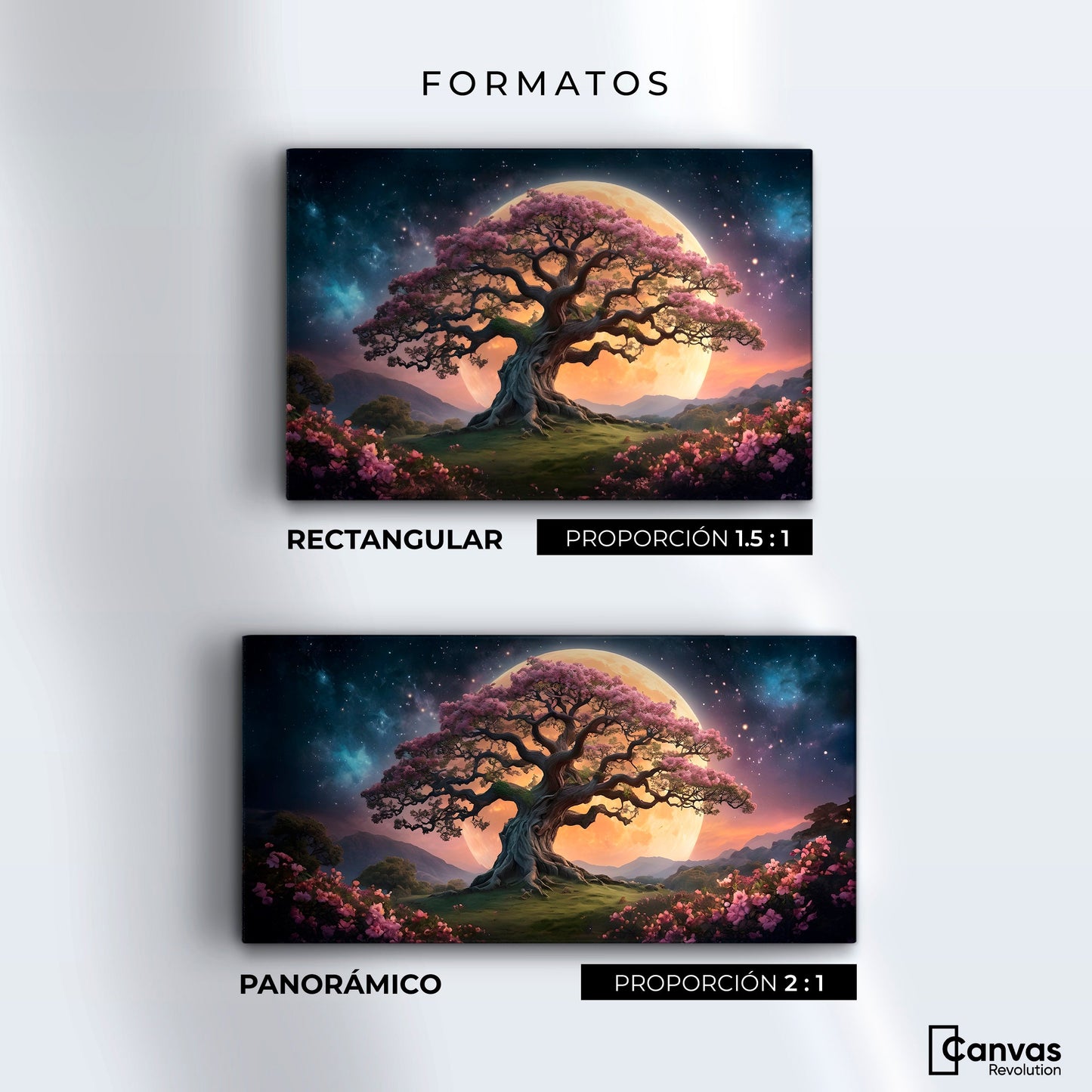 Cuadros Decorativos Canvas Revolution | Ecos Celestiales | Formatos