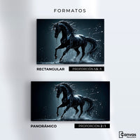 Cuadros Decorativos Canvas Revolution | Elegancia Nocturna | Formatos