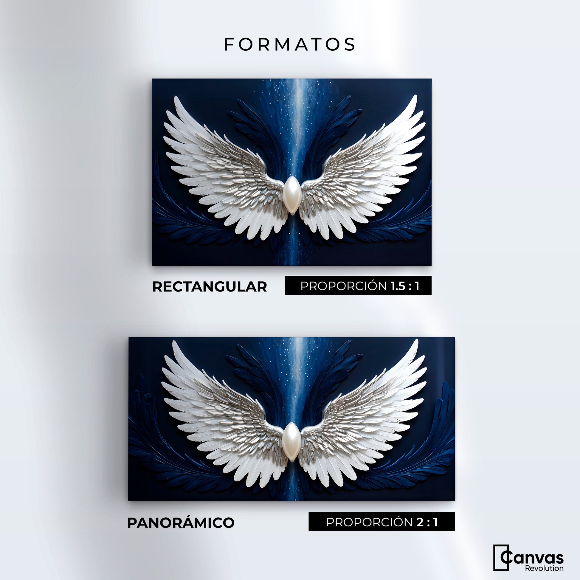 Cuadros Decorativos Canvas Revolution | Espiritu De Vuelo | Formatos