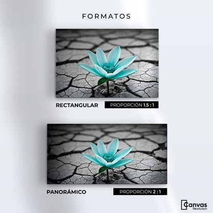 Cuadros Decorativos Canvas Revolution | Flor Sobre Piedra | Formatos