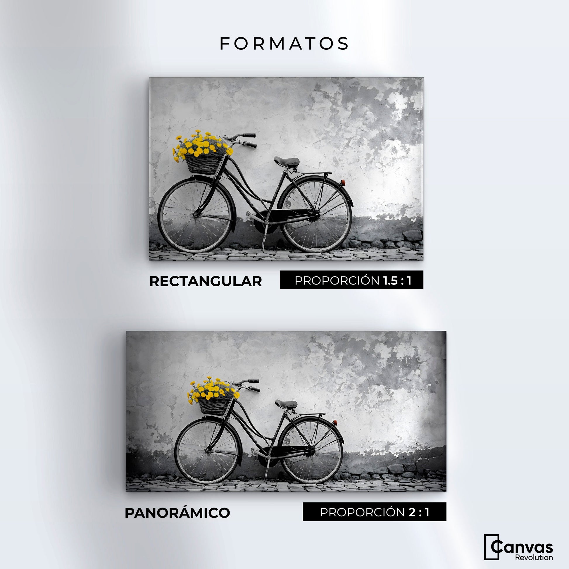 Cuadros Decorativos Canvas Revolution | Florece El Camino | Formatos