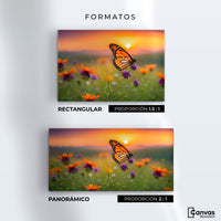 Cuadros Decorativos Canvas Revolution | Flores Del Alba | Formatos