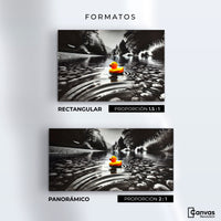 Cuadros Decorativos Canvas Revolution | Flotando Solo | Formatos