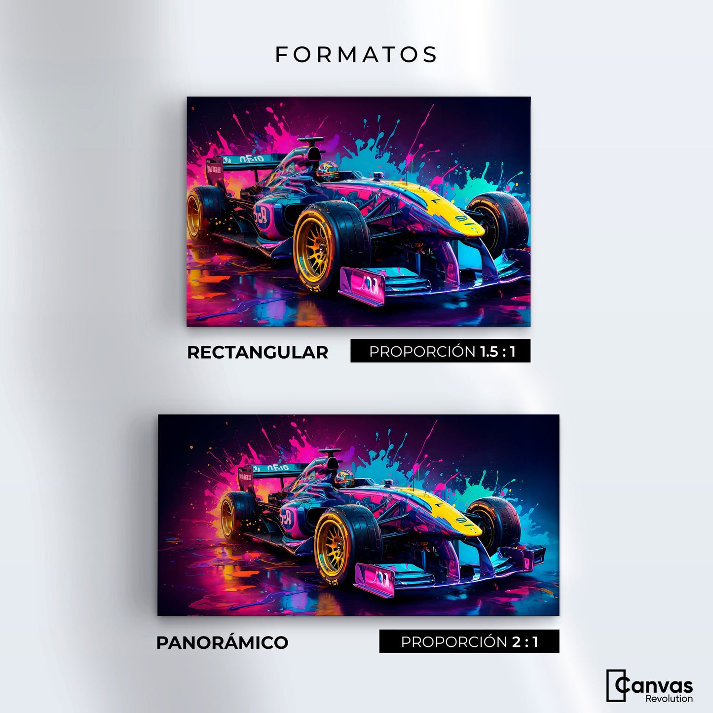 Cuadros Decorativos Canvas Revolution | Furia Multicolor | Formatos
