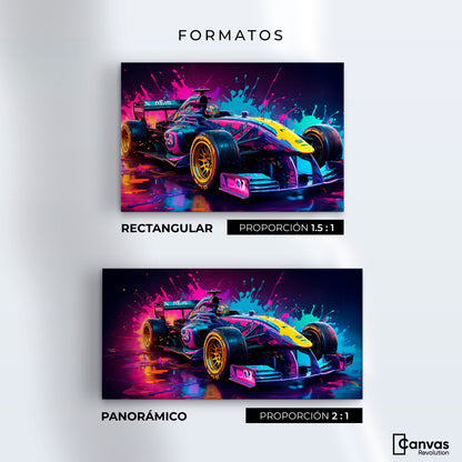 Cuadros Decorativos Canvas Revolution | Furia Multicolor | Formatos