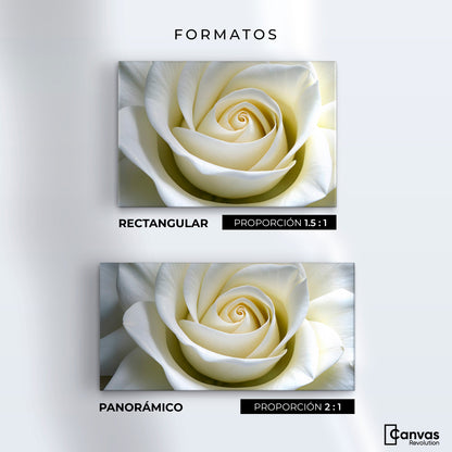 Cuadros Decorativos Canvas Revolution | Gardenia Divina | Formatos