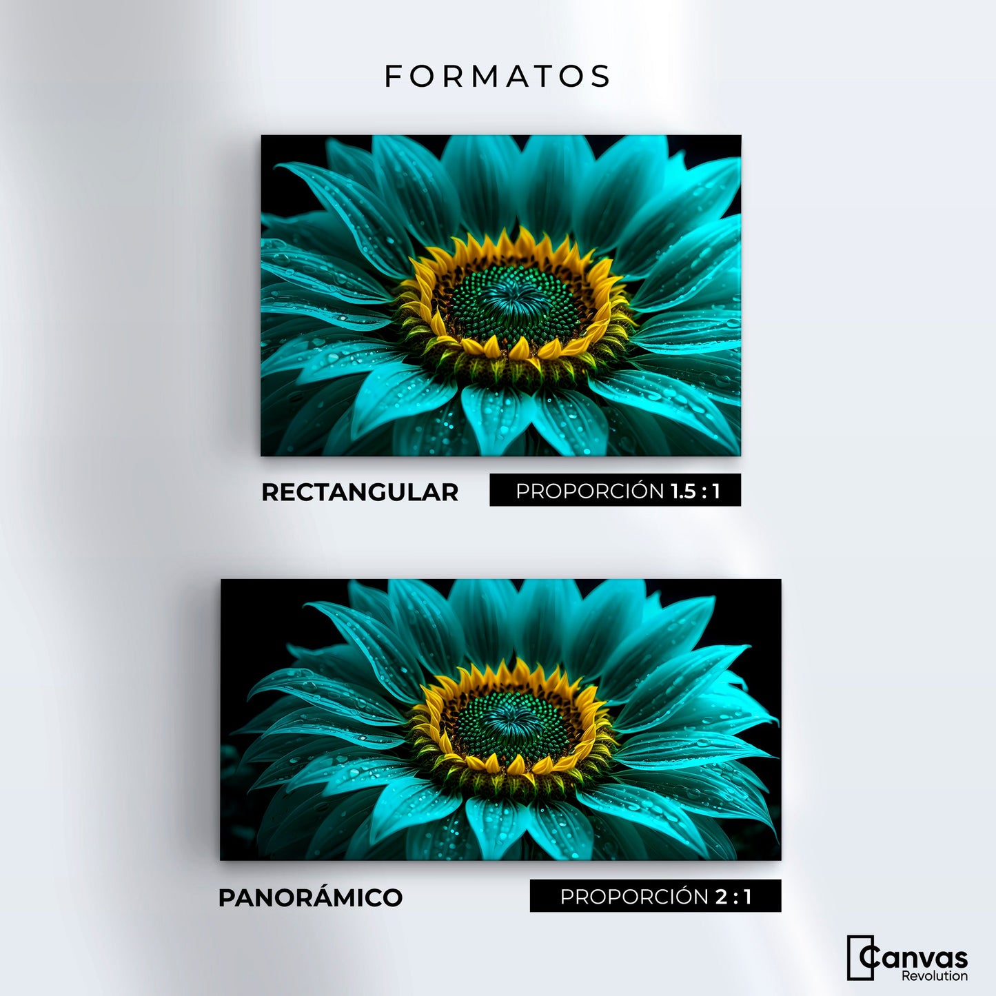 Cuadros Decorativos Canvas Revolution | Girasol Acuamarina | Formatos