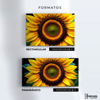 Cuadros Decorativos Canvas Revolution | Girasol Cercano | Formatos