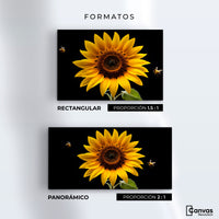 Cuadros Decorativos Canvas Revolution | Girasol En Vuelo | Formatos