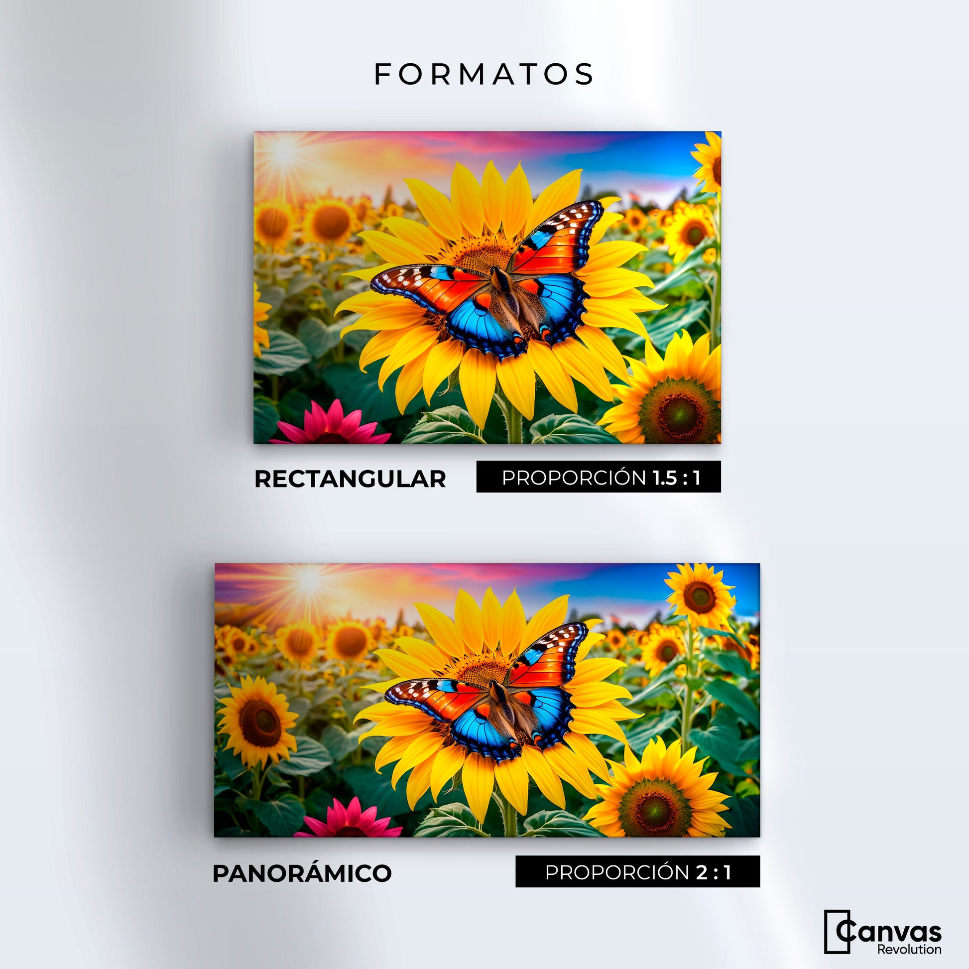 Cuadros Decorativos Canvas Revolution | Girasol Y Colores | Formatos