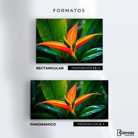 Cuadros Decorativos Canvas Revolution | Heliconia Pura Vida | Formatos
