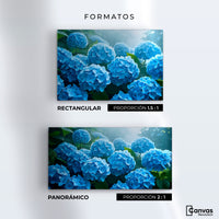 Cuadros Decorativos Canvas Revolution | Hortensias Azules | Formatos