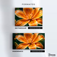 Cuadros Decorativos Canvas Revolution | Lirio Fuego Salvaje | Formatos