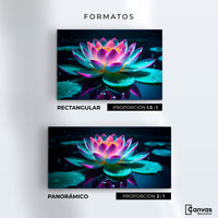 Cuadros Decorativos Canvas Revolution | Loto Brillo Divino | Formatos