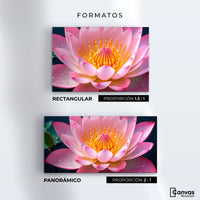 Cuadros Decorativos Canvas Revolution | Loto Dual Radiante | Formatos