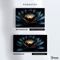Cuadros Decorativos Canvas Revolution | Loto En Sombra | Formatos