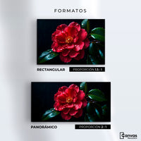 Cuadros Decorativos Canvas Revolution | Magia De Camelia | Formatos